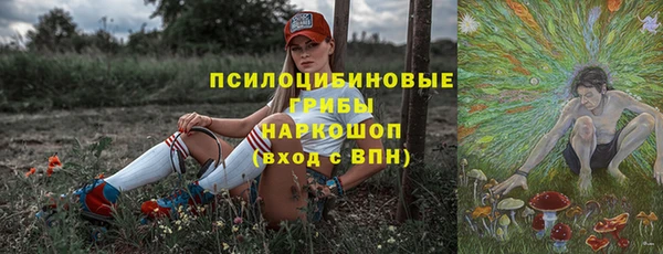 прущие крисы Белокуриха