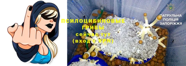прущие крисы Белокуриха