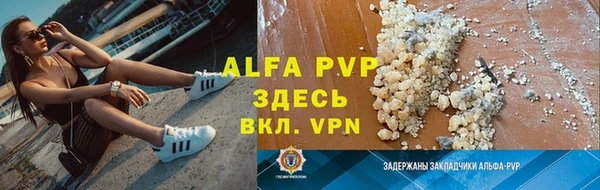 прущие крисы Белокуриха