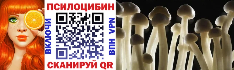 blacksprut ссылка  Новоалександровск  Галлюциногенные грибы GOLDEN TEACHER 